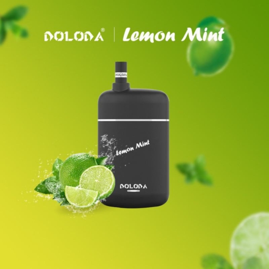 Disposable Doloda Vape Pen Pebble 6500 Puffs Wholesale Price