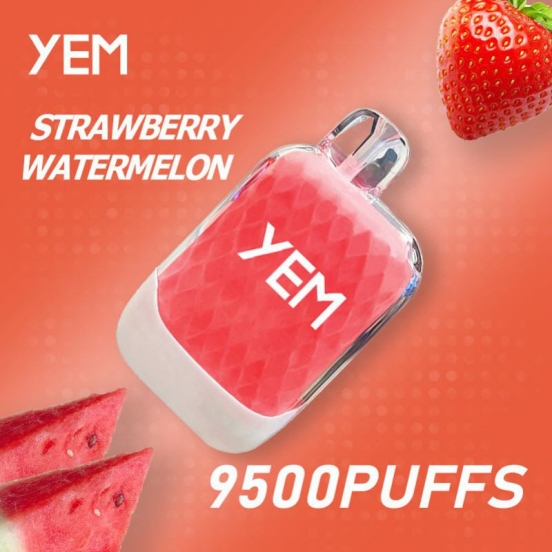 2024 Best Selling yem Td95-12mini 9500 Puffs Wholesale Vapes