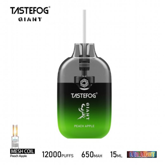 2024 Best Vape Pen Wholesale Evappe Tastefog Giant 12000