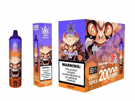 Bang Bnag Beach 22000 22k Disposable E R 20000 Puffs Disposable Vapes Wholesale