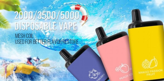 2024's Top Sellers Ocitytimes Oc3500 Wholesale Price Disposable Vape Pens