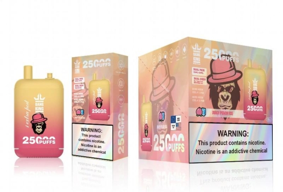 Best Quality Bang Pens King 25000 25k Puffs Hits Vape Puffs
