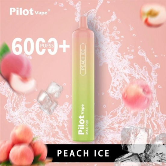 2024's Finest Vaping Pilot Electronic Cigarette