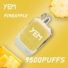 yem Pens Td95-53bs 9500 Puffs Disposable Vape