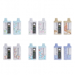 Disposable FV 5ml Empty Disposable Box Vape Brands