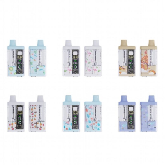 Bulk Price Disposable FV Vape Pen 5ml Empty Disposable Box Wholesale Price