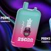 bang 2bang25000 12000 Puffs Vape Disposable