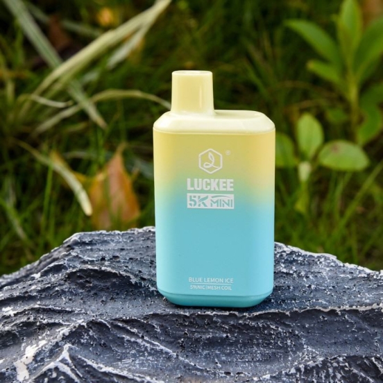 Premium Vape Pen Wholesale luckee 5k Mini Vape Disposables
