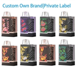 OEM ODM Bar Vape Dd Box 350040005000 Puffs