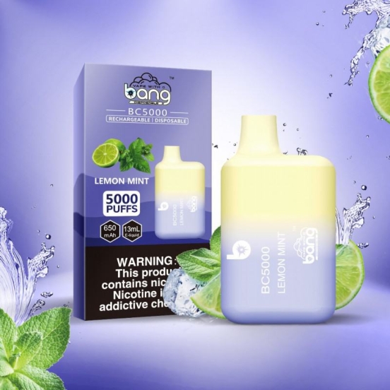 Top Sale Bang Disposable Vape Bar 5000bnv Wholesale
