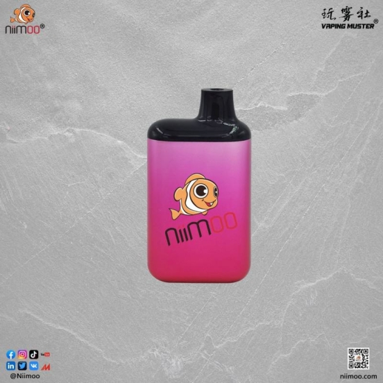 2024's Finest Vaping Niimoo Pen Nde 5000 Puffs Hits Vape Puffs
