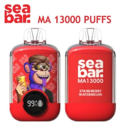 SEA Big Puff Pen Plus