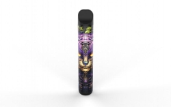 Disposable Vape 600 Puffs Brands