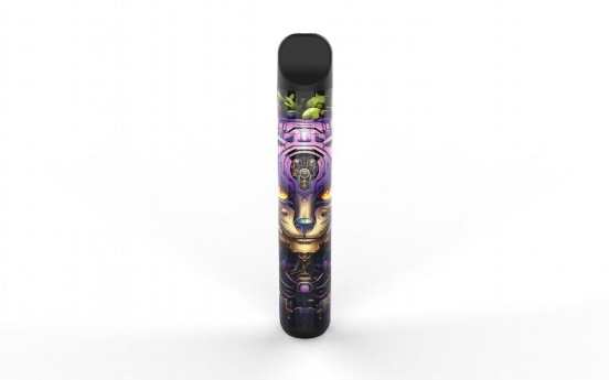 2024 Best Vape Pen  600 Puffs Disposable Vape Wholesale