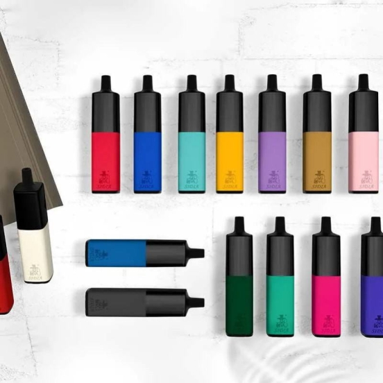 Bulk Price Wholesale Baish Sidia Leather 6000 Vape Pens