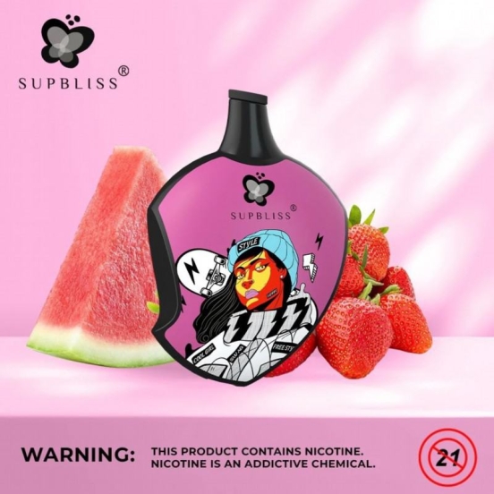 2024 Bulk Price Vape Pens Randm Supbliss Sp 6000 Puffs Wholesale