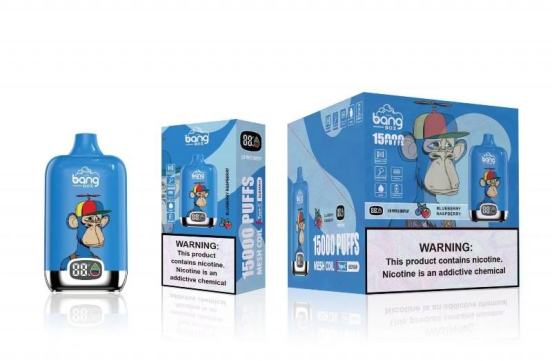 Bang Box 15000 10000 Puffs Wholesale Price Cheap