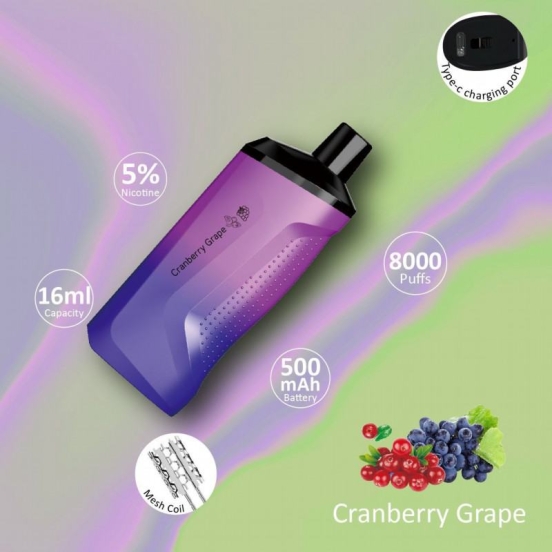 Best Selling Disposable FV Vape Wp8000 Bar Wholesale