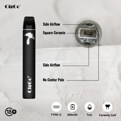 CigGo J66 Vape Rechargeable