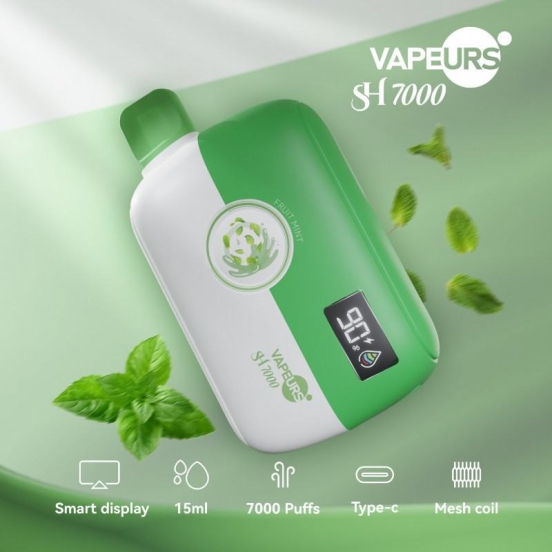 2024 Bulk Pricing urs Urs Sh 7000 Puffs Vape Wholesale Price