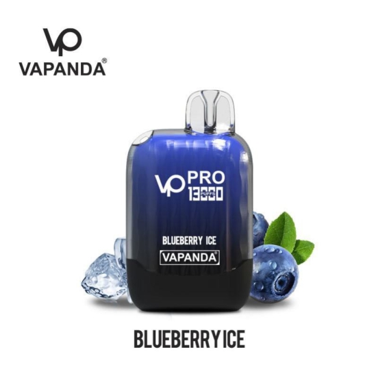 Top Sale VAPANDA Vp Pro 13000
