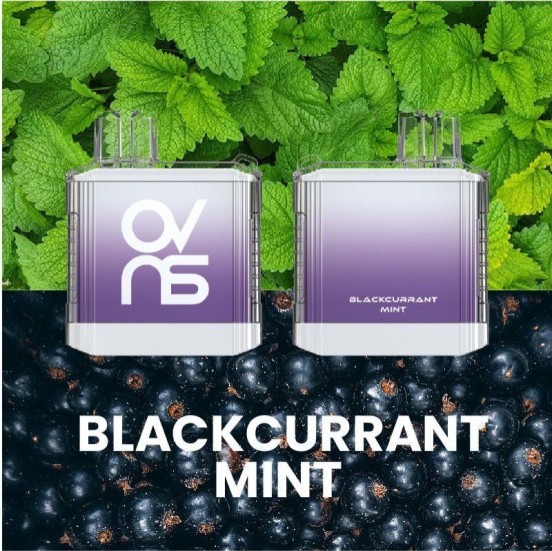 AK 957 5000 Puffs Box