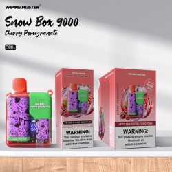 Vape Niimoo Vmsnowbox 9000 Puffs
