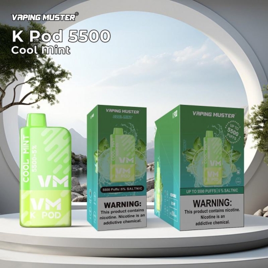 Best Quality Wholesale Niimoo Ndkpod 5500 Puffs Price