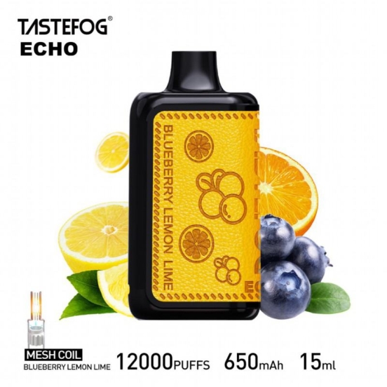 Hot Selling Disposable Tastefog Vapes Echo 12000 Puffs Wholesale