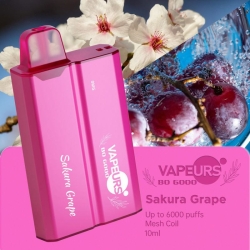 Vape Disposables urs Urs Bo 6000 60080015002000250030003500500060008000 Puffs