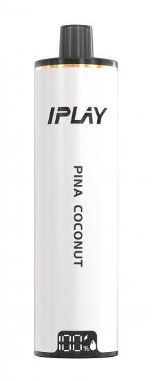 2024 Bulk Price Maskking Iplay Cloud Pro 12000 Puffs Disposable Vape