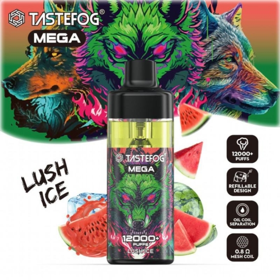 TASTEFOG Tastefog Mega 12000 Puffs Vape Wholesale Price