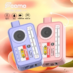 Disposable Support OEM Fm15000 15k Puffs Vape Pen