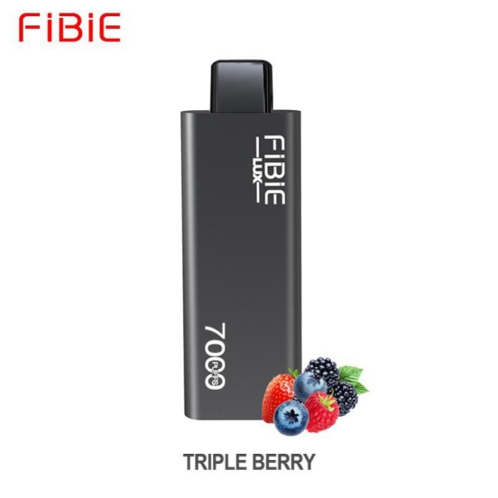 Disposable FIBIE Fibie 7000 8000 Puffs Vape Pen Wholesale Price