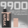 Vapes ak T9900