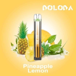 Big Puff Pen Plus Randm Elfbox 600 Puffs Vape