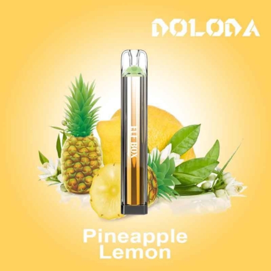 Randm Disposable Vape Elfbox 600 Puffs Wholesale