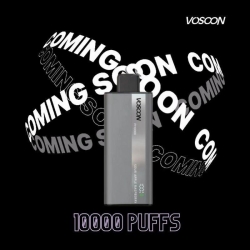  Pen Oem/odm 10000 Puffs