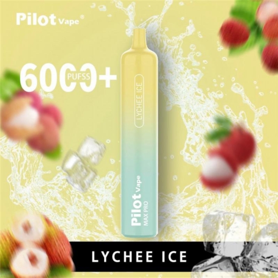 2024's Finest Vaping Pilot Electronic Cigarette