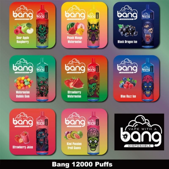 2024 Best Vape Bang B12000k Wholesale Disposable Vape Pen
