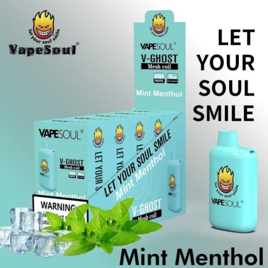 Oem soul Big Puff Pens Plus