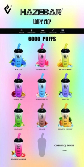 Baish Haze Mini Cup 6000 Puffs Wholesale Disposable Vape Pens