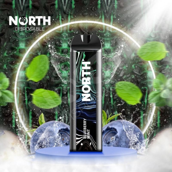 Cheap Pricing North Disposable 5000 Puffs Vape Flavors