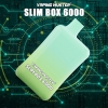 Disposable Niimoo Vmslimbox 6000 Puffs Vapes
