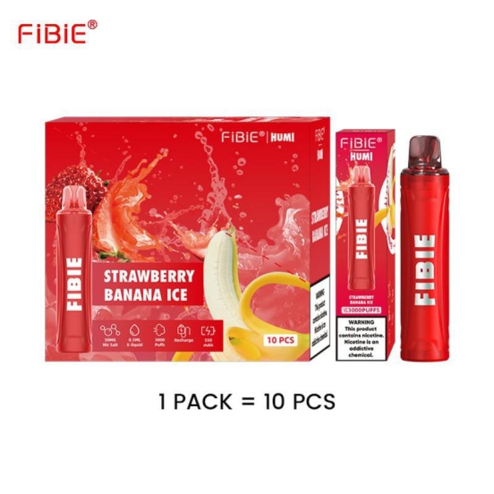 FIBIE 3000 About 3000 Puffs Disposable Pen