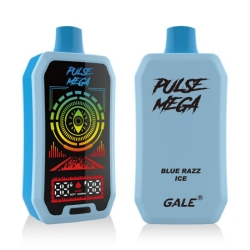 R&M Disposable Vapes Pulse Mega 25k 25000 Puffs