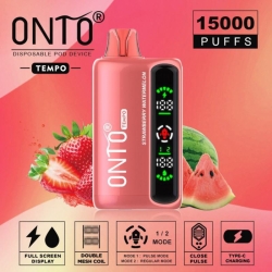  Onto-tempo Big Hit Disposable Vape