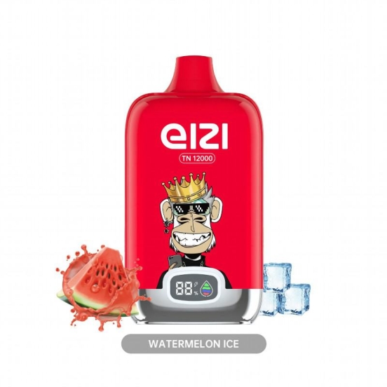 OLY EIZI Eizi Tn 12000 Puffs Vape Pen Wholesale