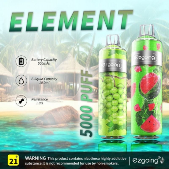 Ezgoing Ezgoing- Fk03 5000 Disposable Vape Wholesale