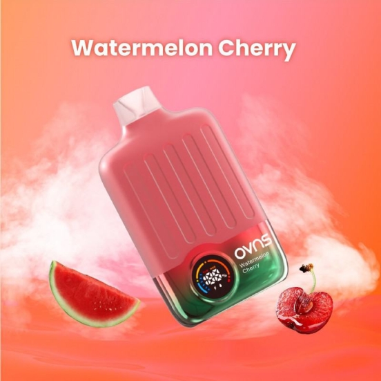 Disposable OVNS 959 12000 Puffs Vape Wholesale